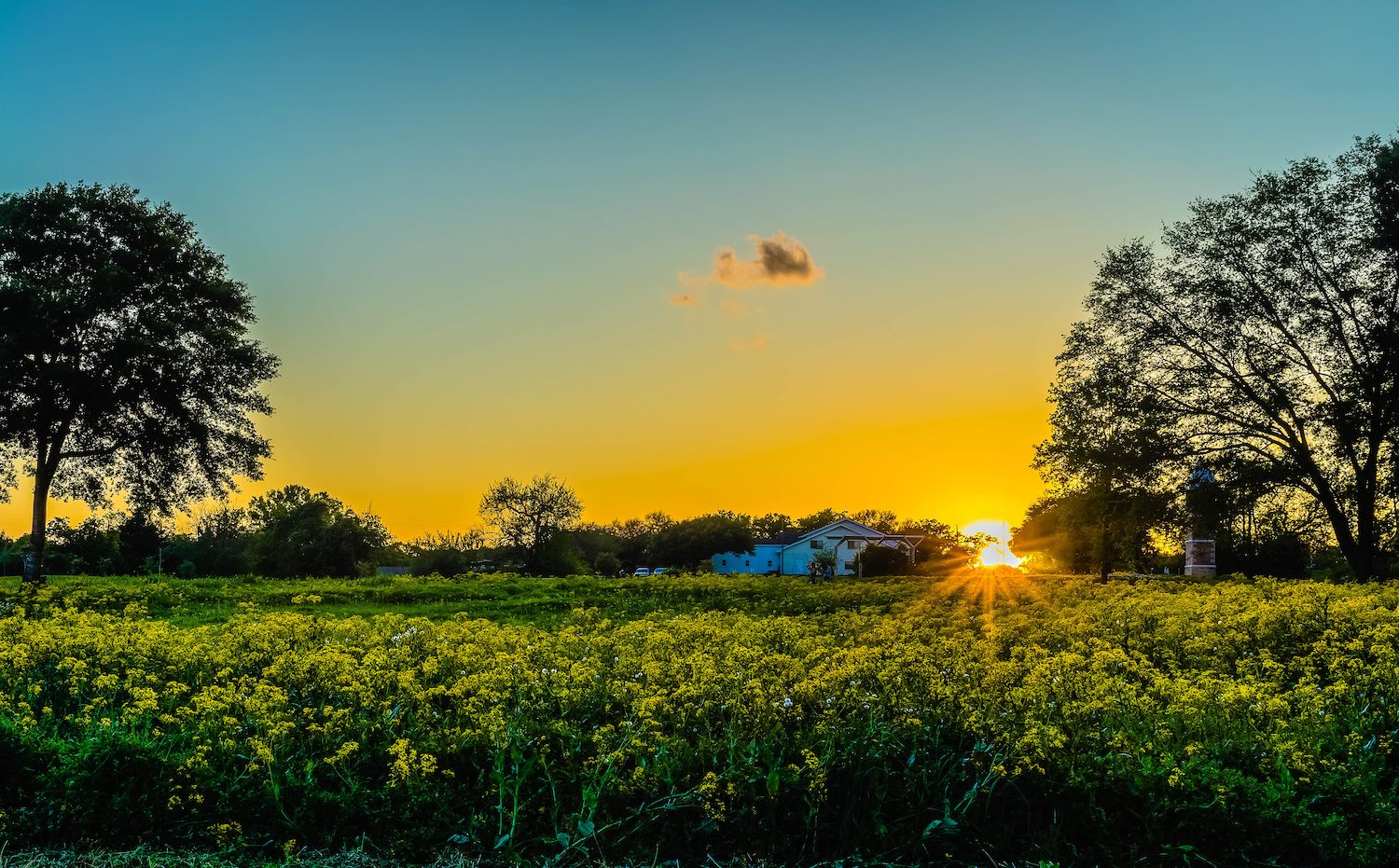 15 Best Things to Do in Fulshear, TX Travel Lens