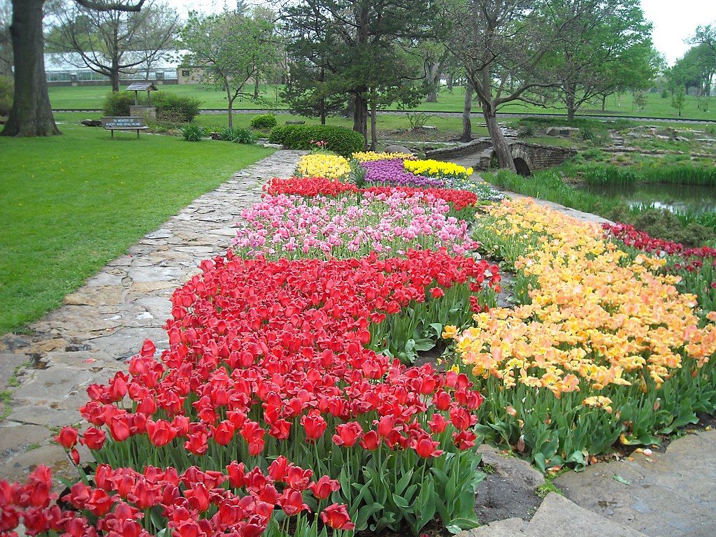Rose garden at Gage Park