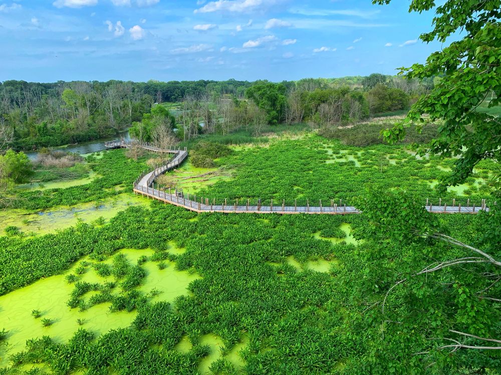Aerial view of Galien River County Park