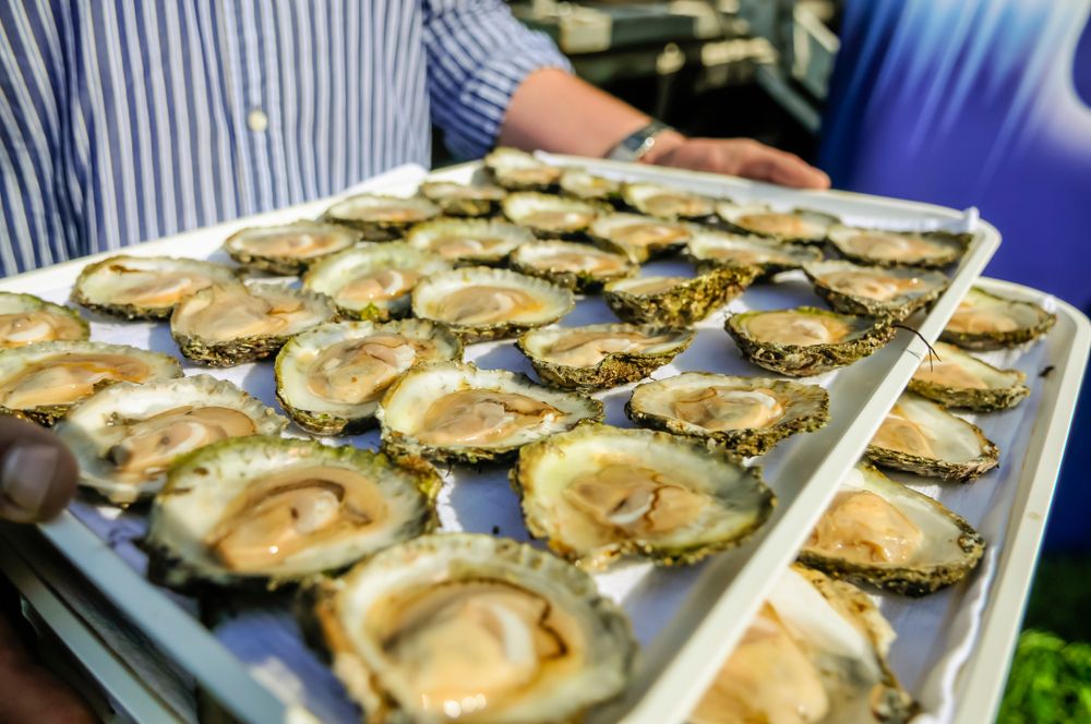 Galway Oyster Festival