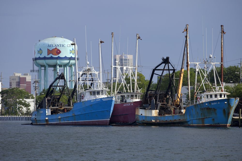 Boats docked at Gardner's Basin