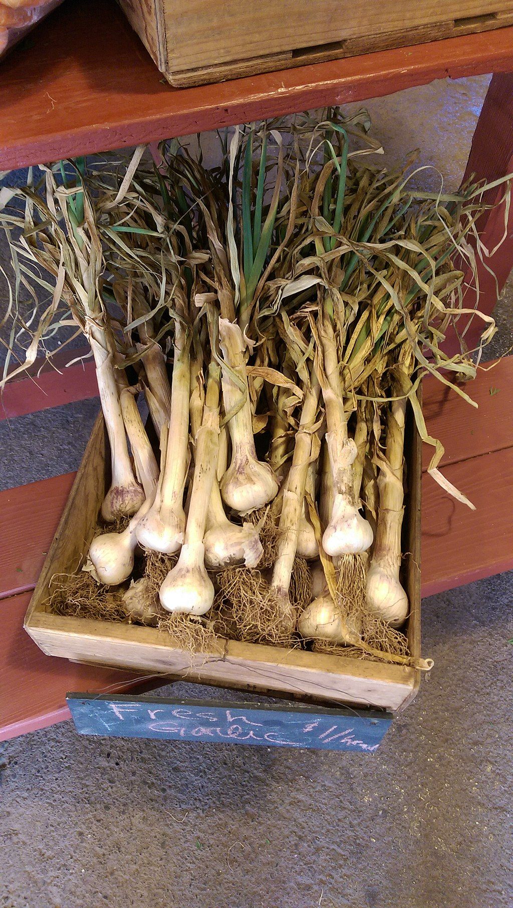 Vegetables in Oak Hill Farm
