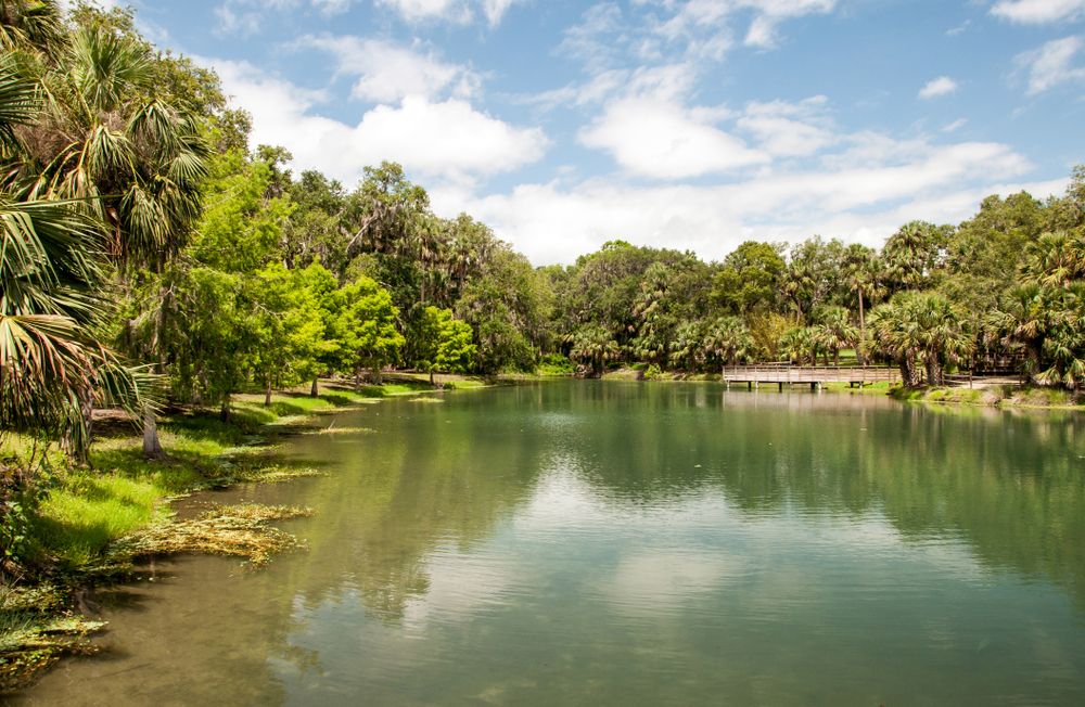 Pond at Gemini Springs Park