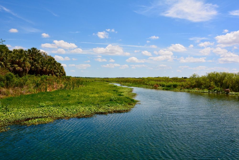 Scenic view of Gemini Springs Park