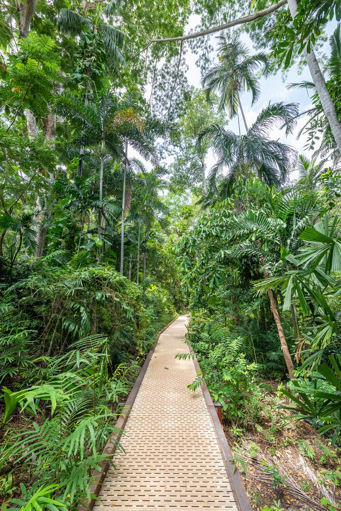 Beautiful pathway with green plants and trees along the way in George Brown Darwin Botanic Gardens