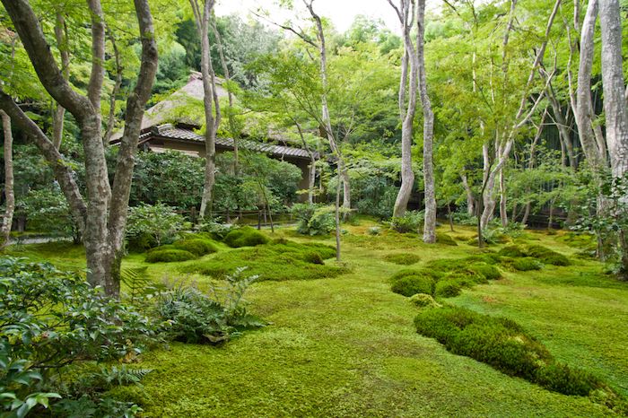Gio-Ji temple