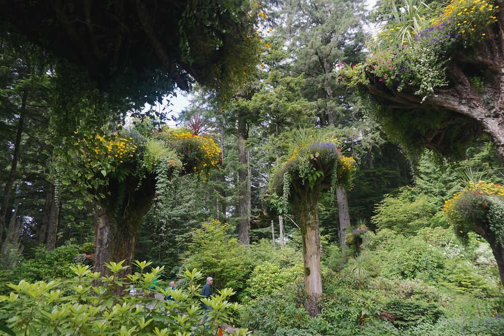 Glacier Garden Rainforests