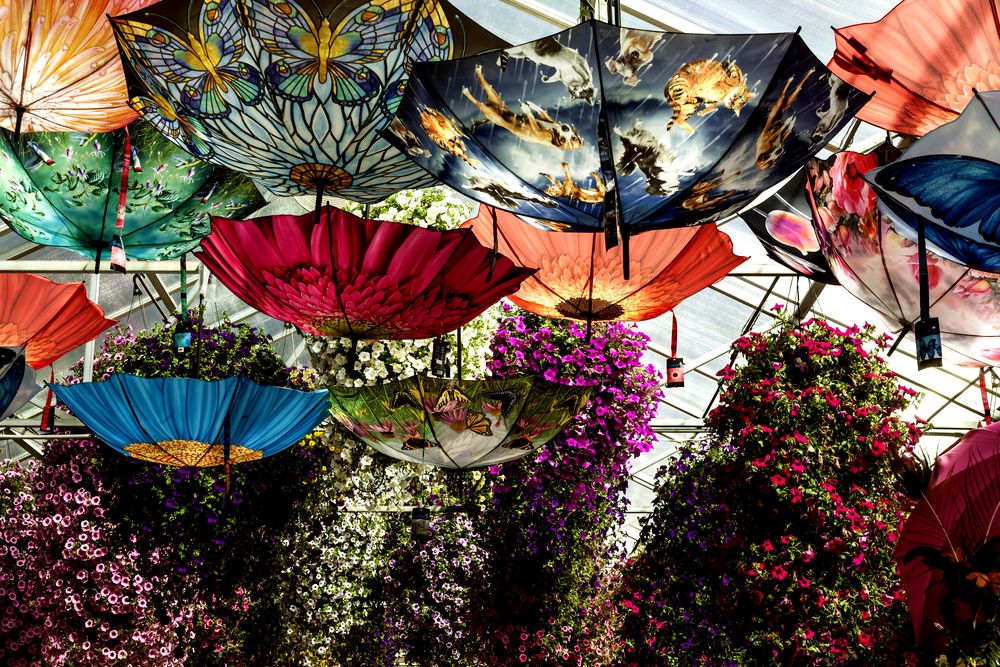 Colorful umbrella art at Glacier Gardens