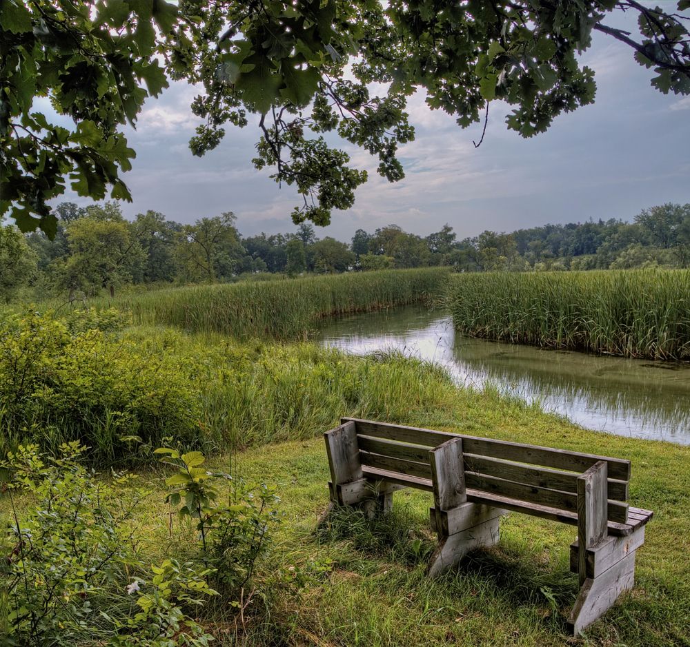 Visitors bench at Glendalough State Park