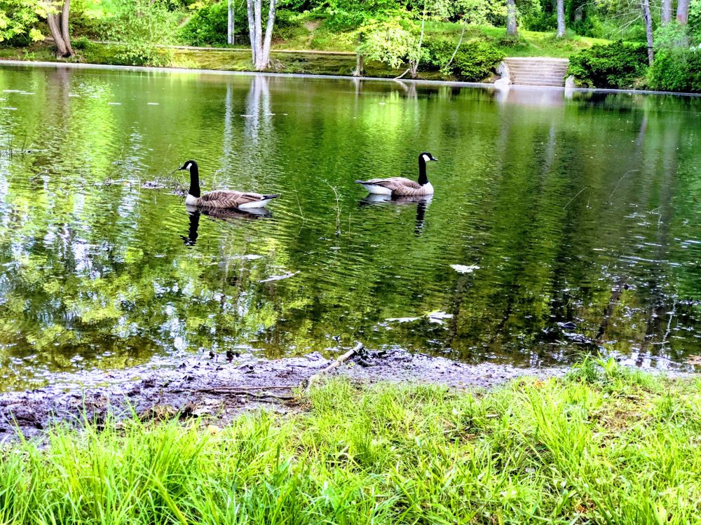 Scenic View at Global Park