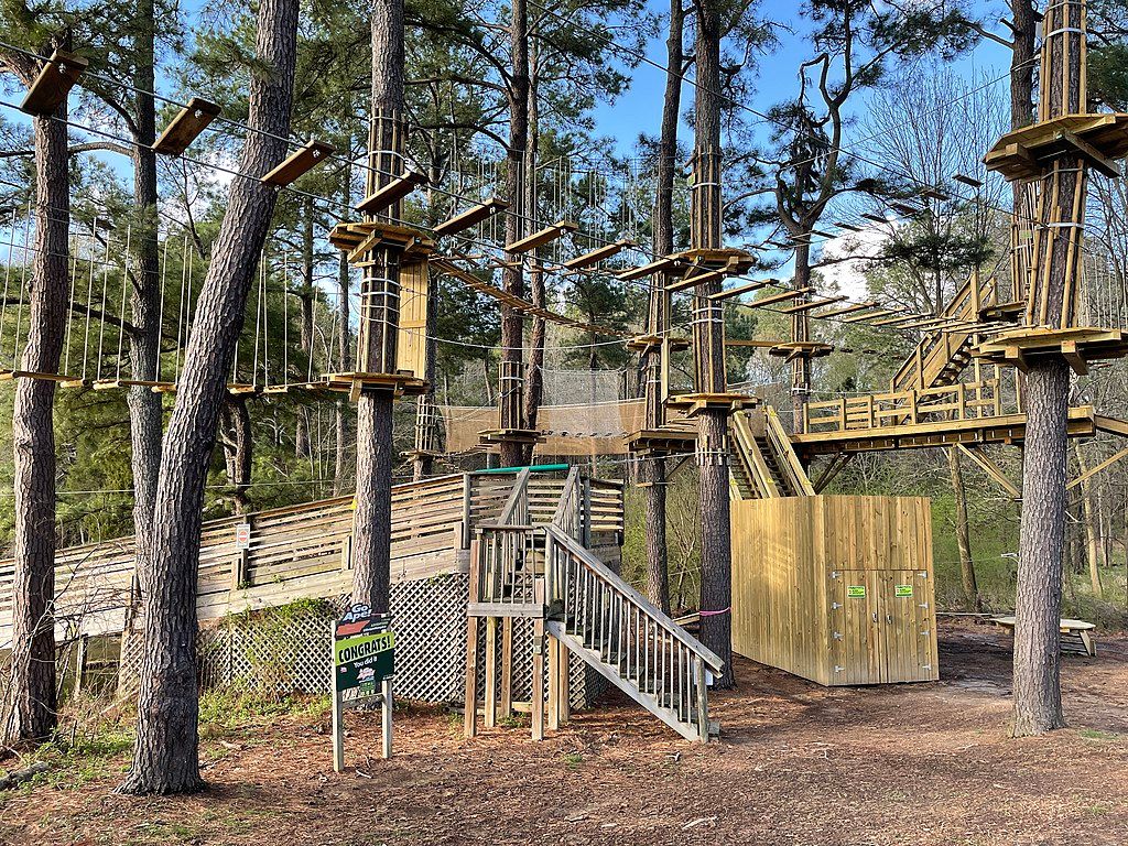 View of the Go Ape Zipline