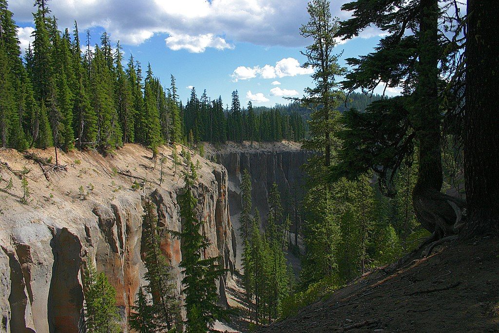 Scenic view of Godfrey Glen