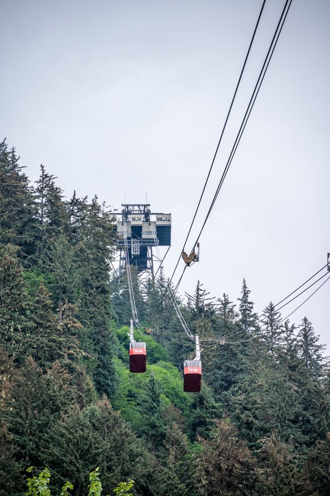 View of Goldbelt Tram