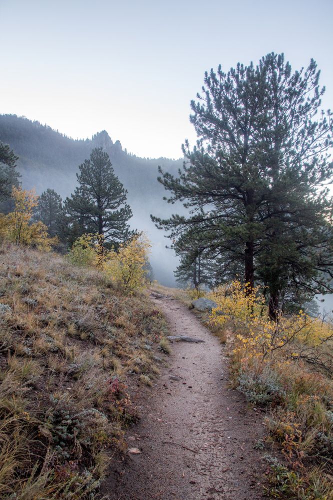 Fog covered hiking trail at Golden Gate Canyon State Park