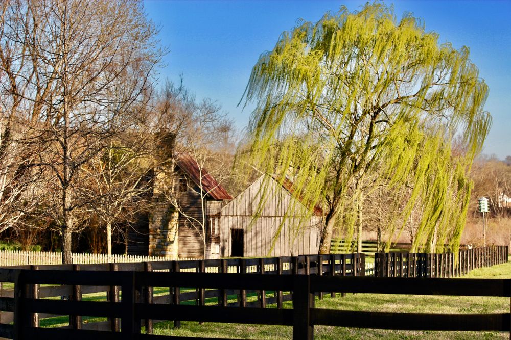Scenic view of Leiper's Fork