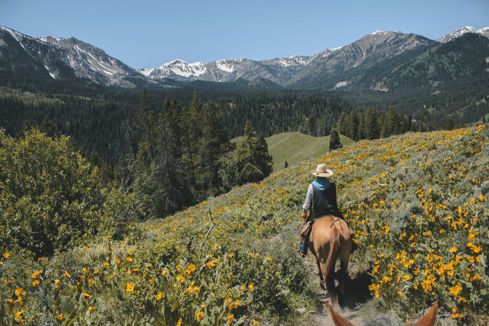 Horse back ride at Grand Teton Mountain