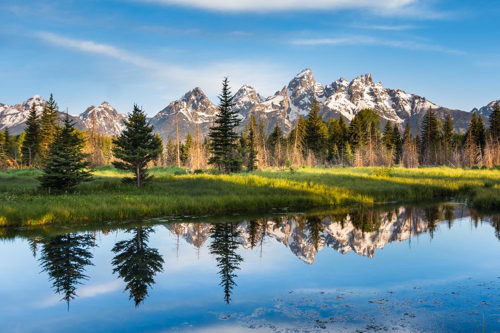 Scenic View of Grand Teton National Park