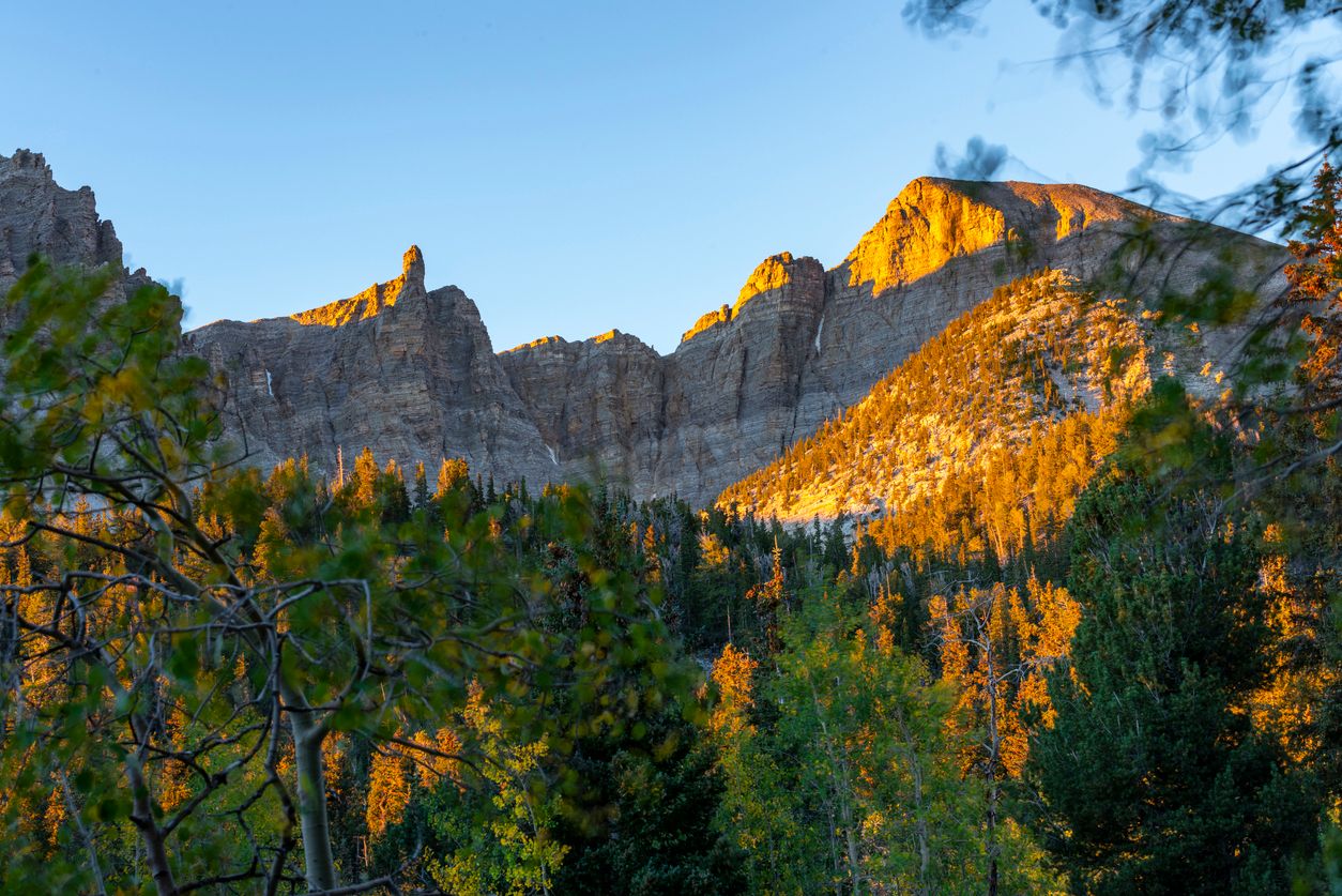 Canyon at Great Basin National Park