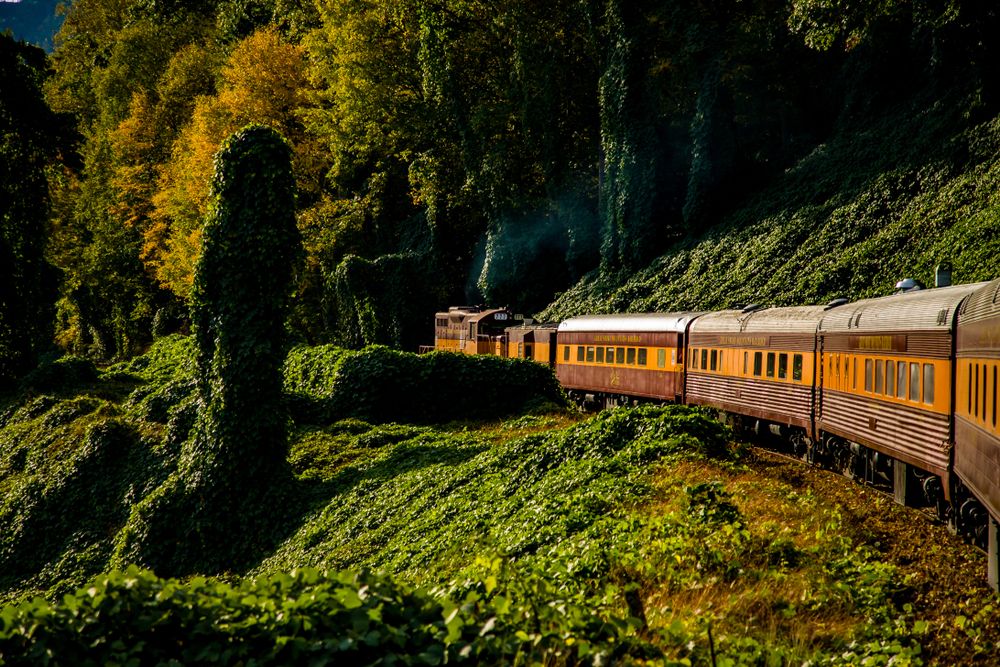 Great Smoky Mountains Railroad