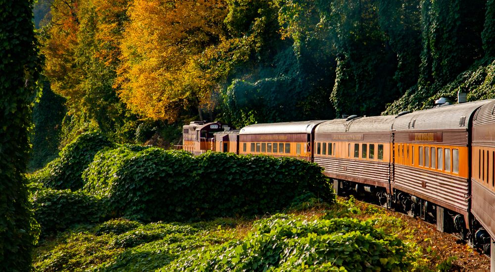 View of Great Smoky Mountains Railroad