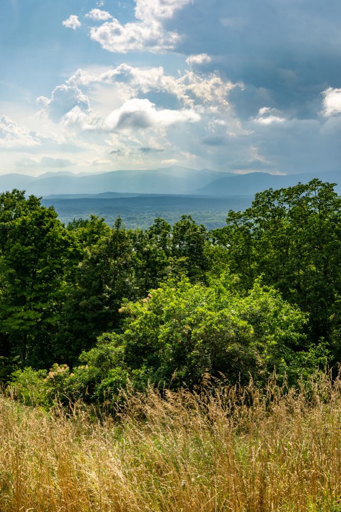 Hudson valley at Greenport