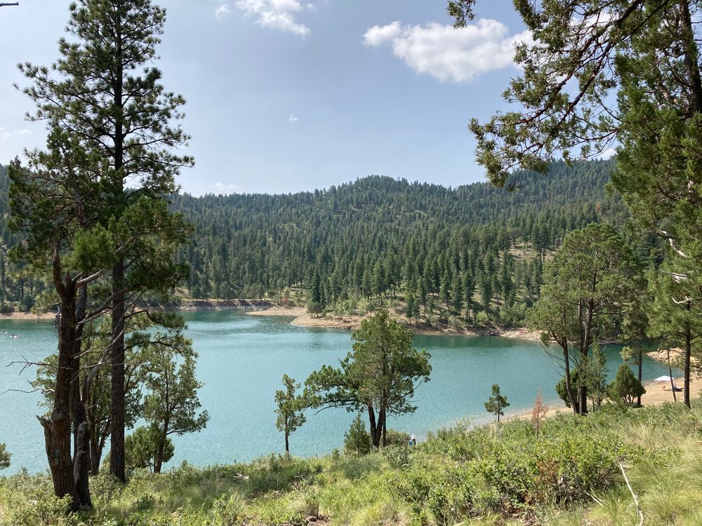 Grindstone Lake surrounded by trees and plants