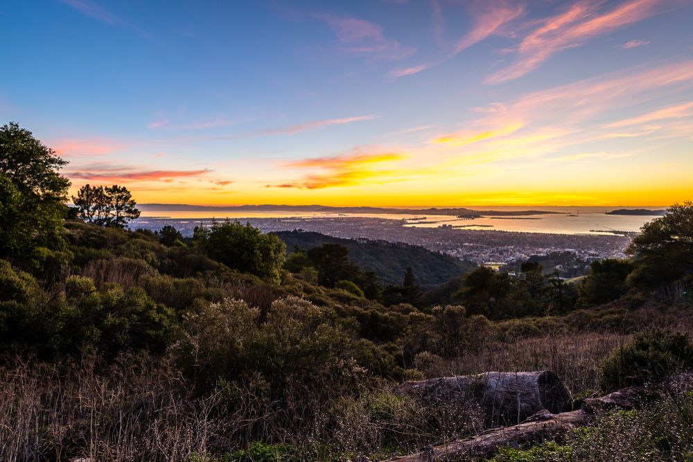 Stunning view from Grizzly Peak