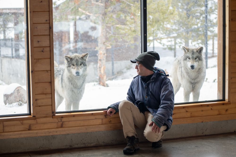 A man posing next to a wolf at Grizzly & Wolf Discovery Center