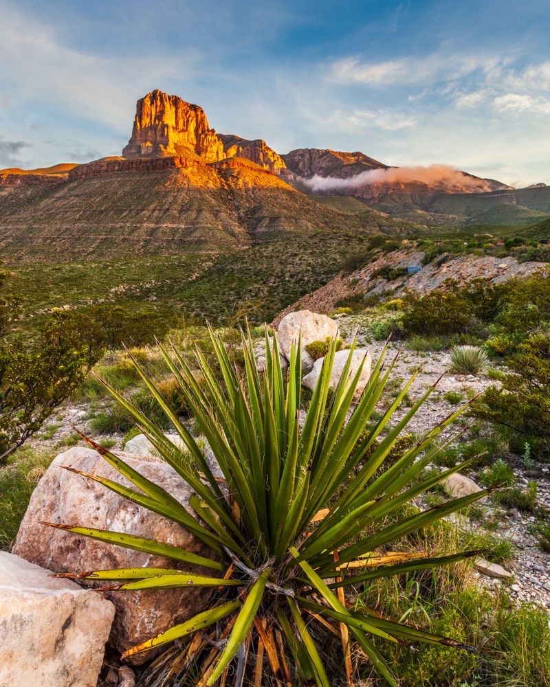 Landscape of the Guadalupe Mountains National Park