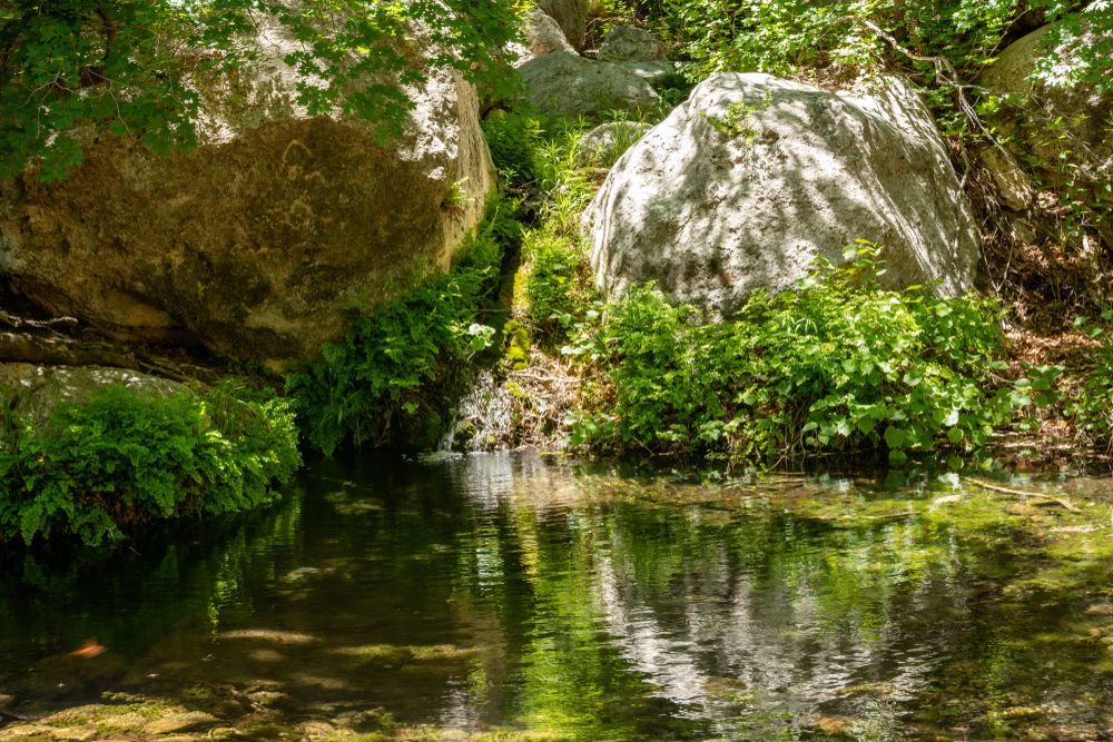 Oasis at Guadalupe Mountains National Park