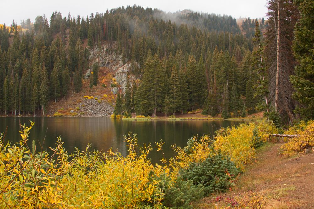 Scenic view of Guardsman Pass Road
