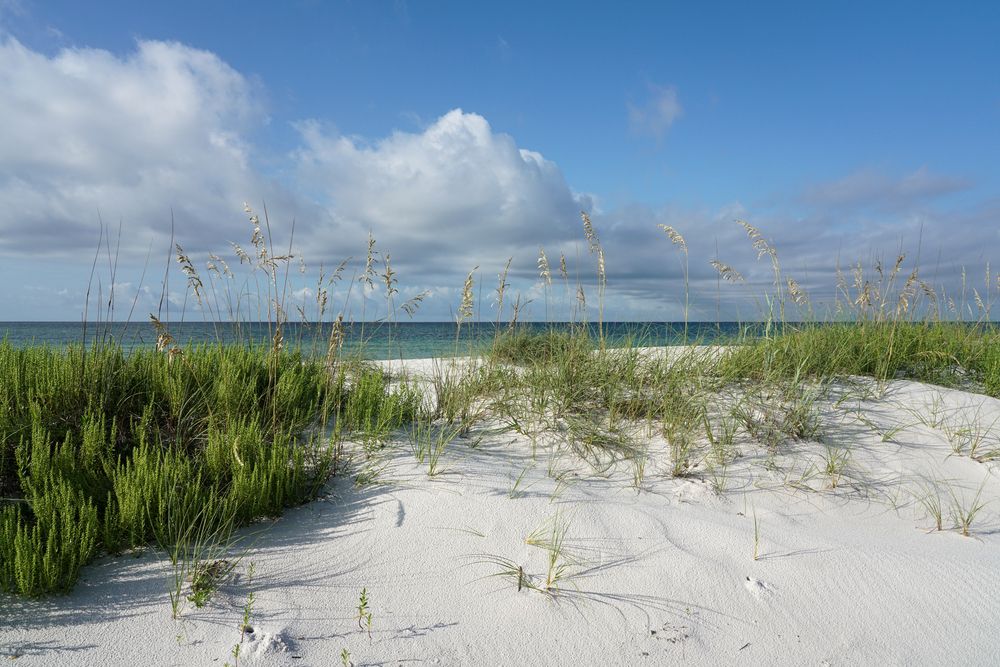 White sands, blue skies, and tall green grass.