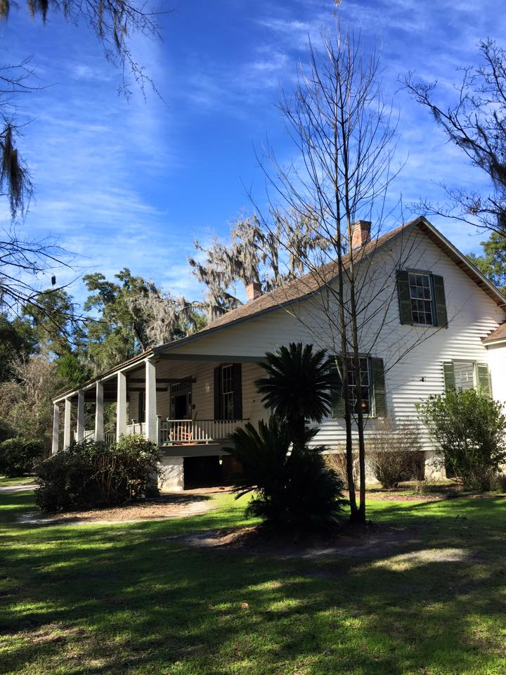Lawn and trees near the Haile Homestead in Gainesville