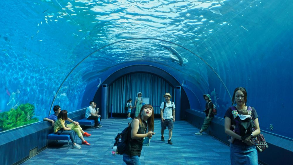 Hakkeijima Sea Paradise