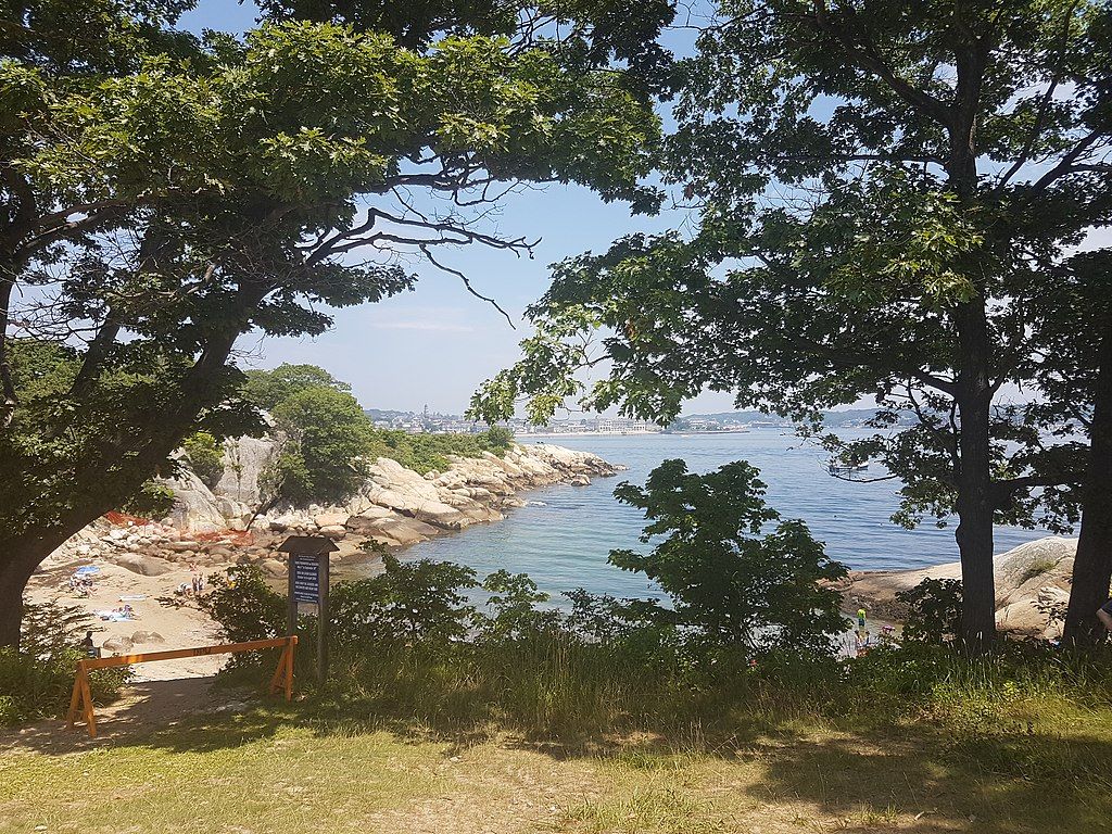 Trees around Half moon beach