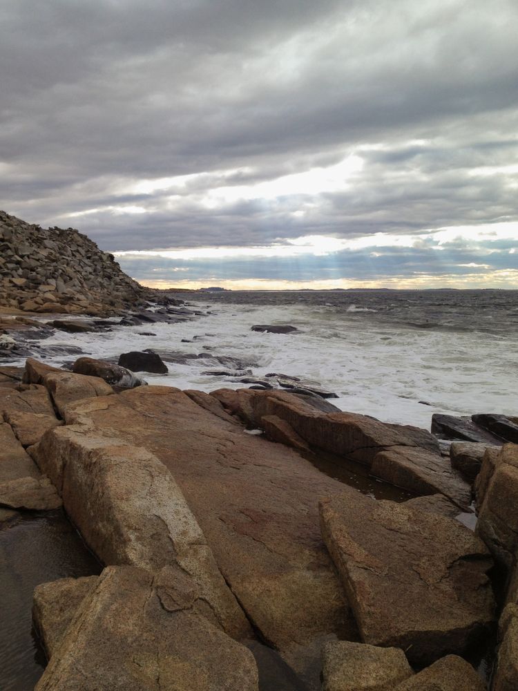 Shoreline of Halibut Point State Park