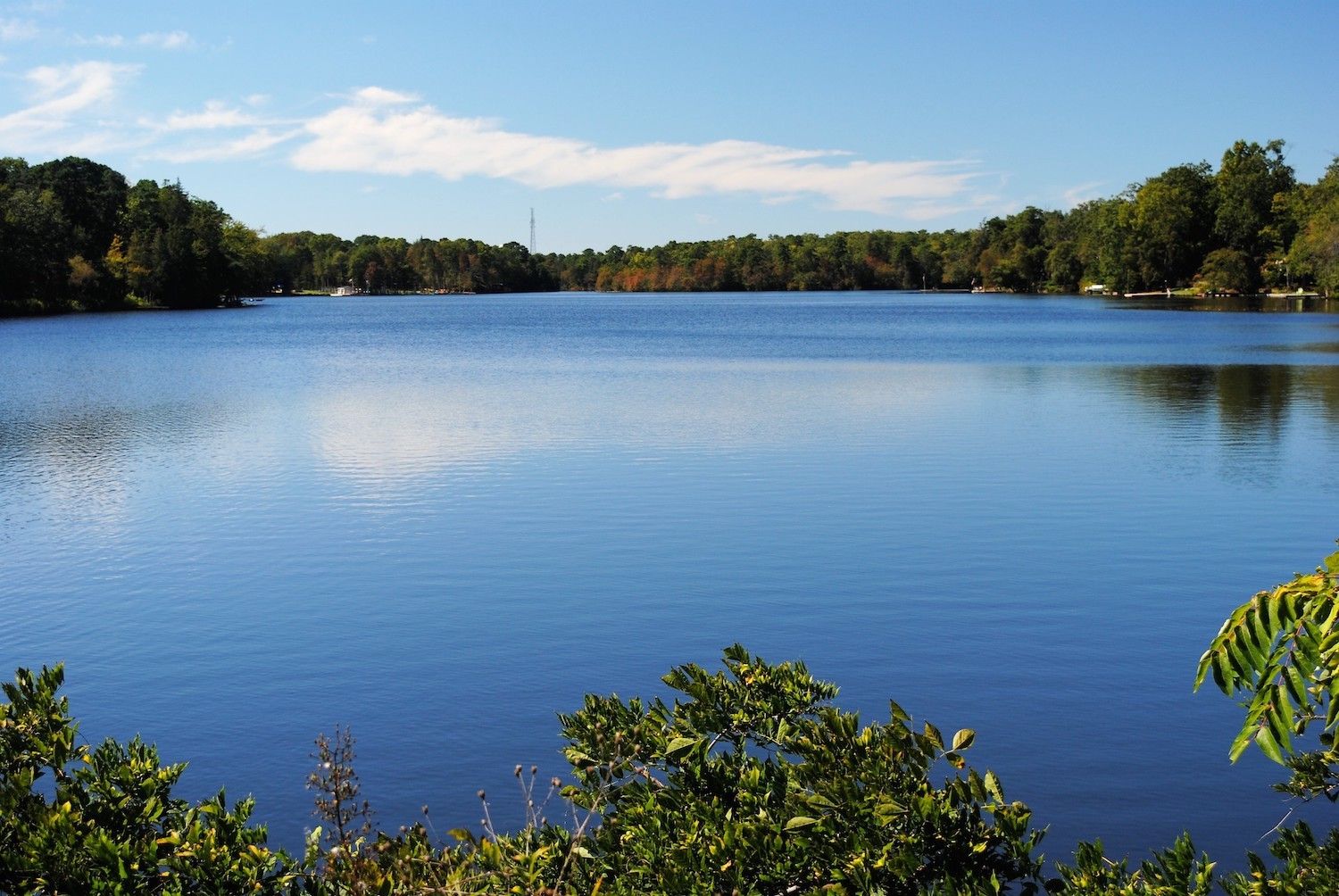 15 Best Things to Do in Hammonton, NJ - Travel Lens