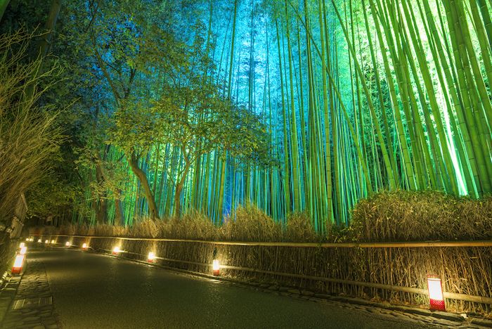 Kyoto Arashiyama Hanatouro