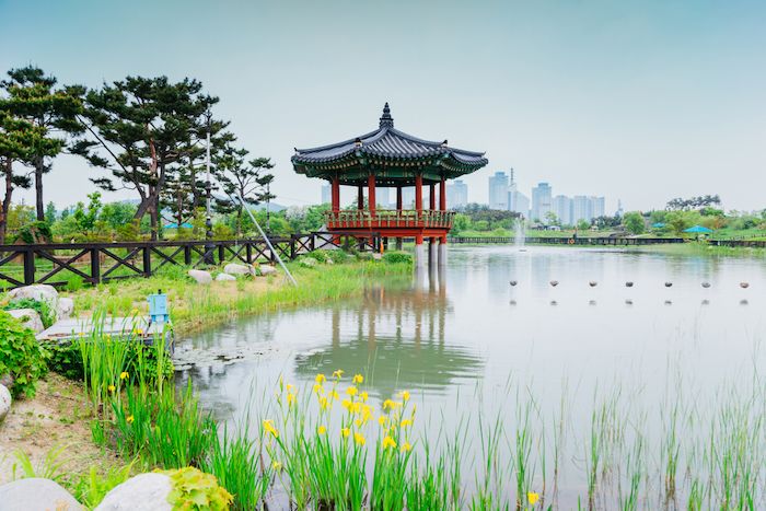 Hanbat Arboretum