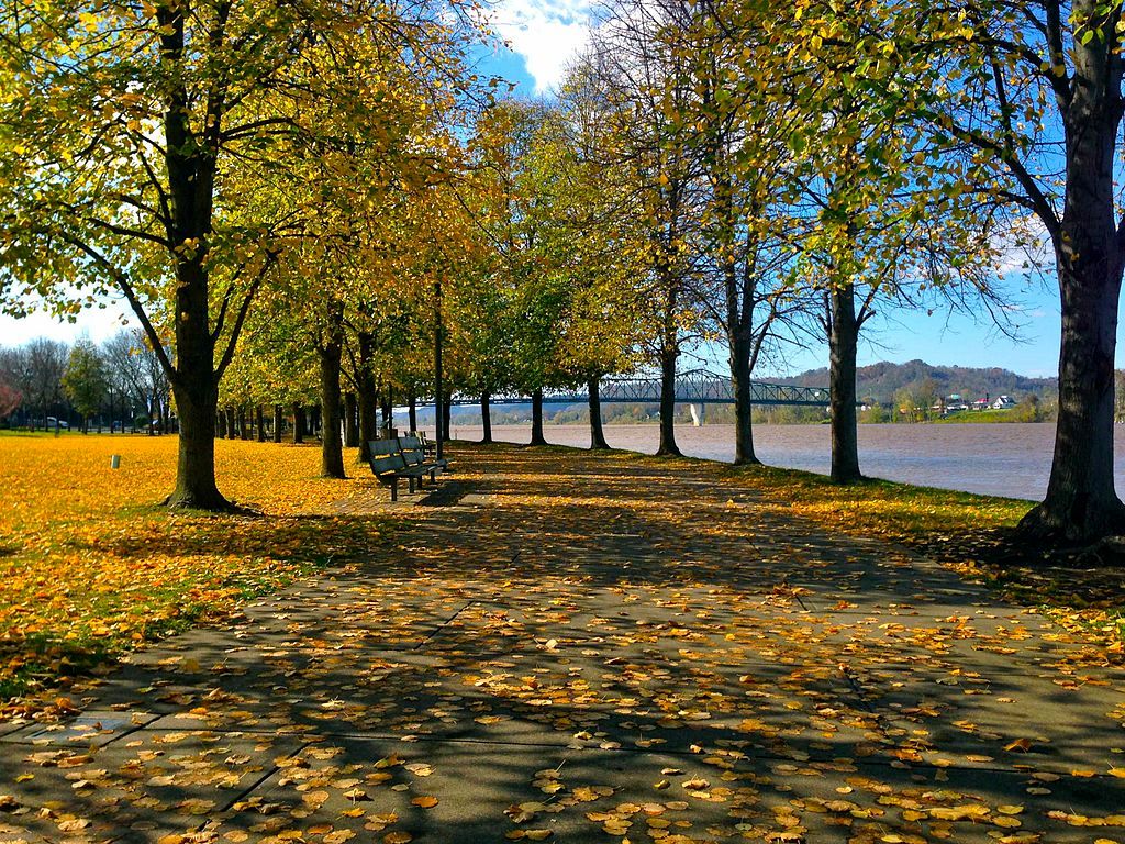 Scenic view of Harris Riverfront Park with bench and autumn leaves on the walkway