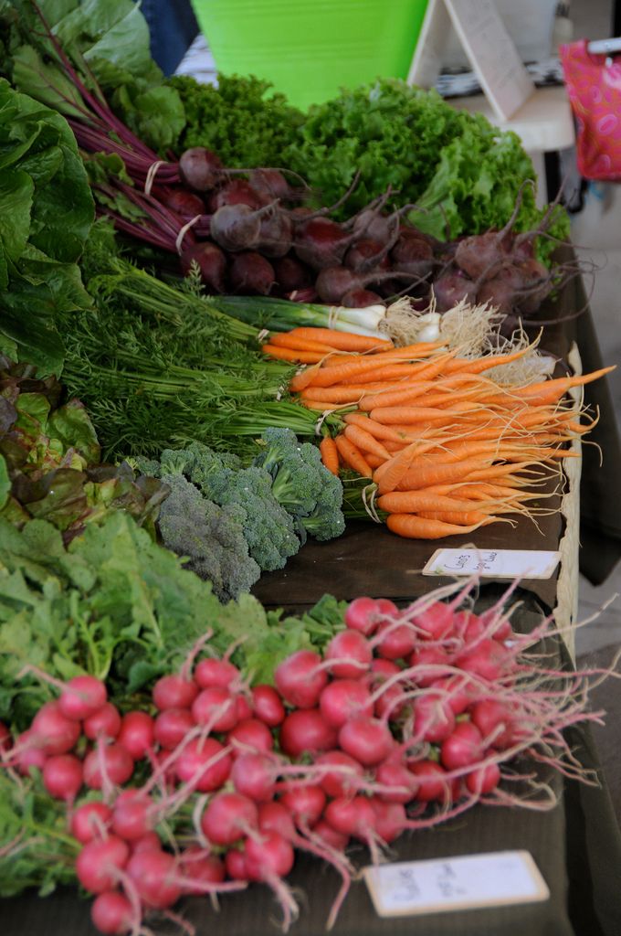 Freshly harvested carrots, raddish and beetroots at Harrisonburg Farmers Market