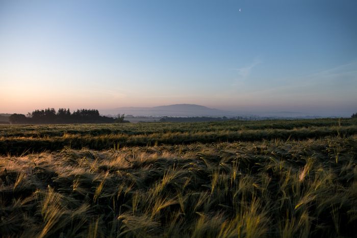 Haughmond Hill