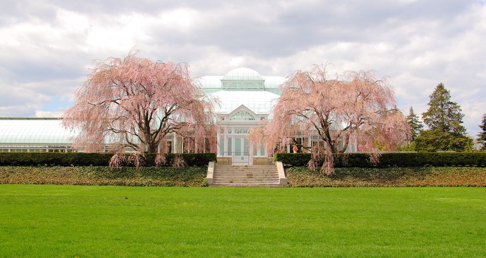 Haupt conservatory in Bronx with lawn in the foreground