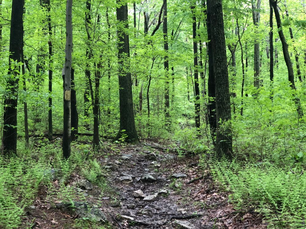 Hawk Mountain Sanctuary