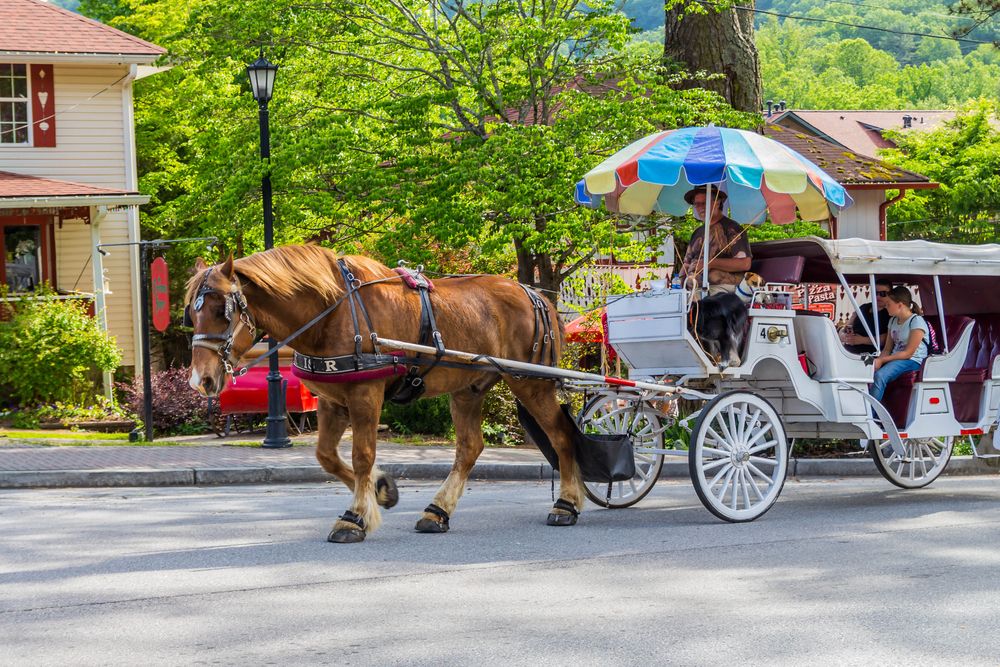 People enjoying their ride on a horse carriage in Helen, Georgia