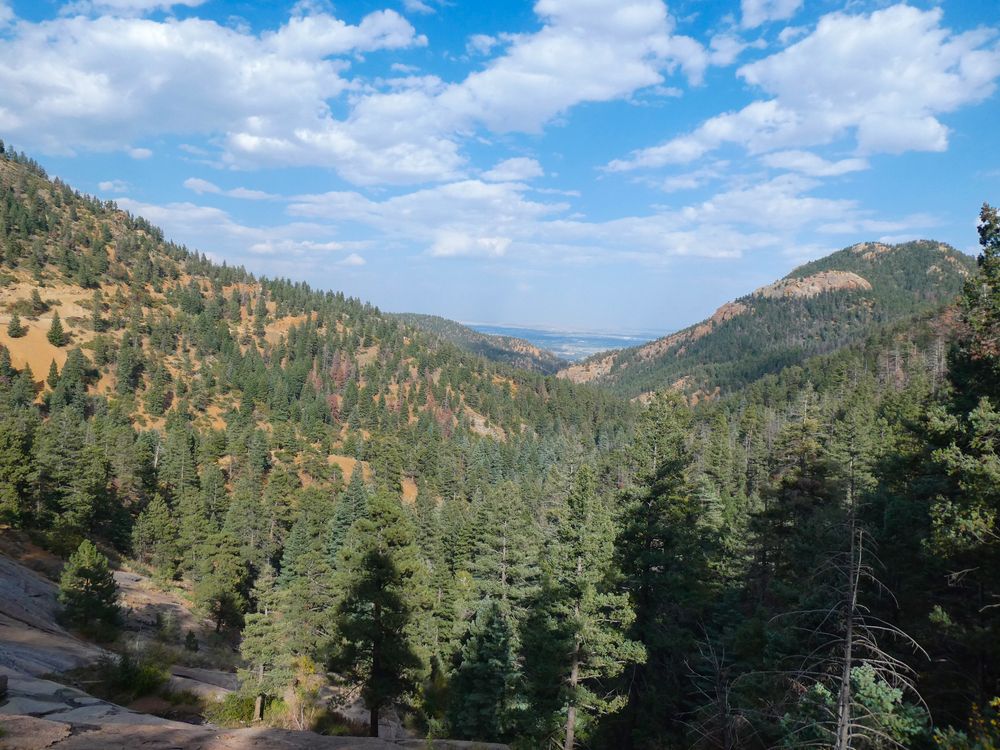 Thick trees around the Helen Hunt Falls