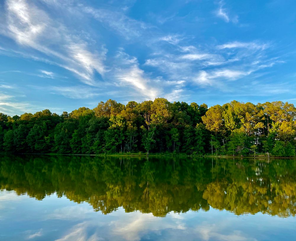 Reflection of the trees in Herb Parsons Lake