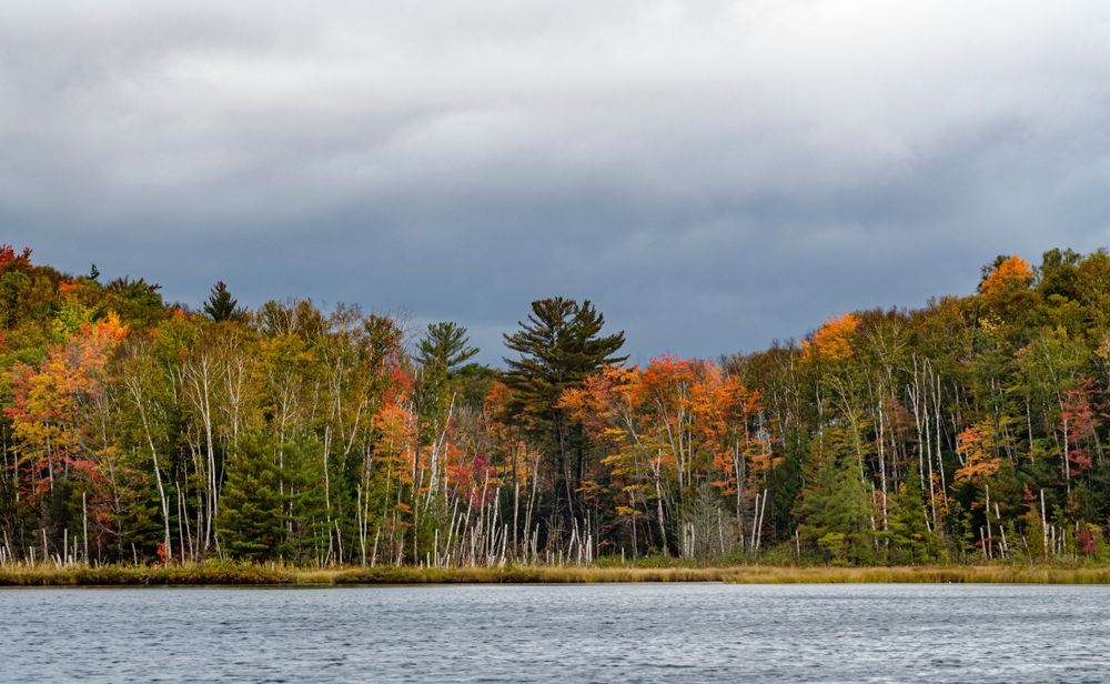 A lake at Hiawatha National Forest