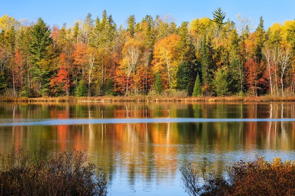 Autumn trees reflecting on Hiawatha National Forest waters