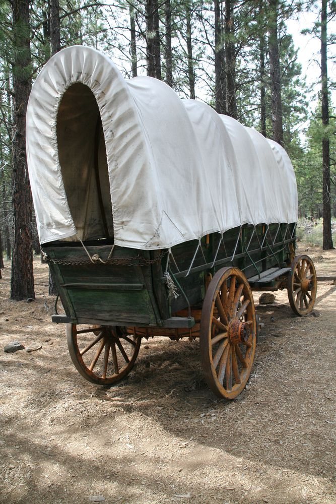 Wagon at High Desert Museum